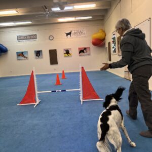 Studio Classes