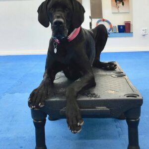 Foundations A (Saturdays from 11 am - noon)